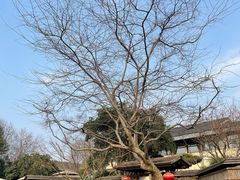 -新荣记(西溪湿地店)