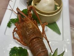 -东方御宴海鲜酒楼(棕泉酒店)