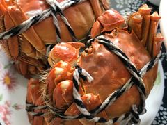 -乡乐园蟹庄·阳澄湖农家乐