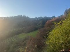 -敬亭山风景名胜区