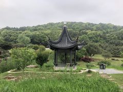 -龙寺生态园