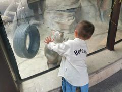 -灵玲国际马戏城