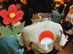 -上海JOYPOLIS环游嘉年华主题乐园