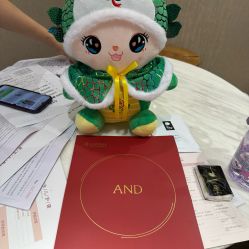 -爱帝宫月子中心(罗湖别墅院)