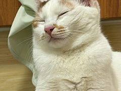 -蛙来哒(汇一城黑金冠店)