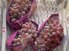 -马陆小张葡萄园农家乐