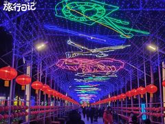 -南宫五洲植物乐园