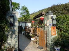 -树山生态村