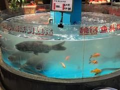 -魏铭鱼头捞饭(晋阳路店)