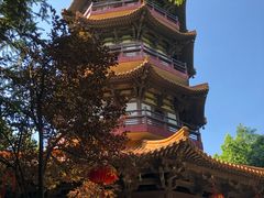 -天下玉苑