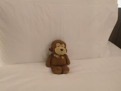 -香港城市花园酒店