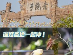 -厦门老院子景区