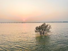 -宝安西湾红树林湿地公园