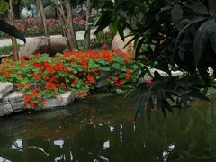 -南通洲际绿博园