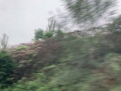 -汉景帝阳陵博物院