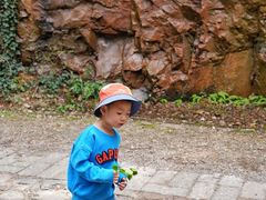 -上海佘山国家森林公园西佘山园