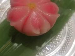 -觀芷隐轩