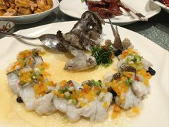 黄椒酱蒸野生大龙趸-南海渔村(珠江新城店)