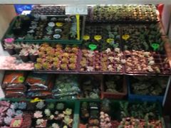 -无锡文化工艺品市场(槐古路店)