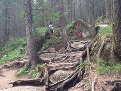 -芦芽山旅游度假区