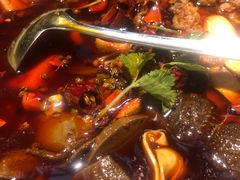 -红辣椒·川菜·火锅(大洋中心店)