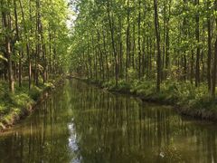 -合肥滨湖国家森林公园