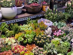 -三旗百汇商品城