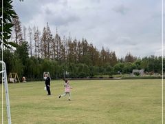 -前小桔亲子创意农场·草莓采摘·露营烧烤