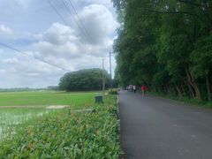 -嘉北郊野公园