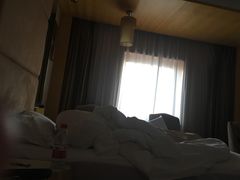 -维也纳国际酒店(北京首体店)