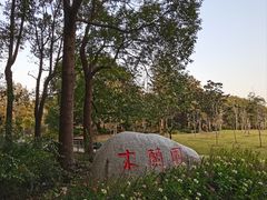 -上海滨江森林公园