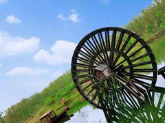 -合肥滨湖国家森林公园