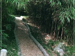 -菊花台公园
