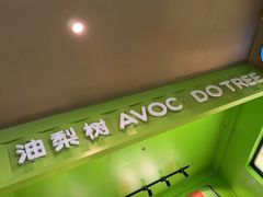 -油梨树AVOCADO TREE(顺义新国展店)