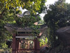 -水濂山森林公园