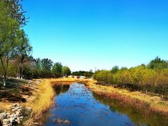 -大兴滨河森林公园