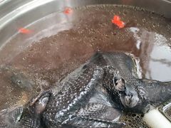 -太婆天府山珍酒楼(亚运村店)
