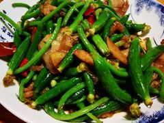 时迁黄瓜芽-兴农记