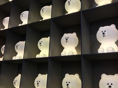 -line friends(明洞旗舰店)