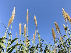 -嘉北郊野公园