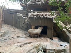 -杭州长乔极地海洋公园