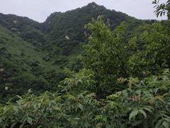 -阿瓦山寨·湘菜现炒·剁椒鱼头王(咸阳总店)