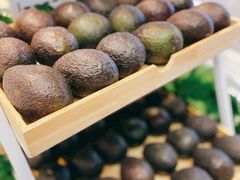 -野萃山·潮汕厚果汁(十亩地店)