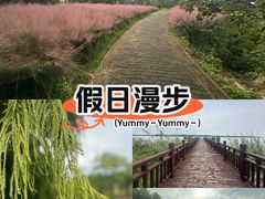 -南湖湿地公园