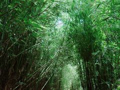 -井空里大峡谷