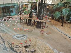 -麒麟中餐厅·经典粤菜·地道菜式老字号(广州长隆酒店)