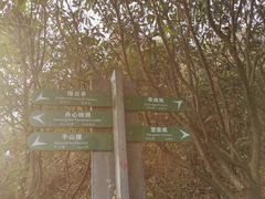 -杭州半山国家森林公园