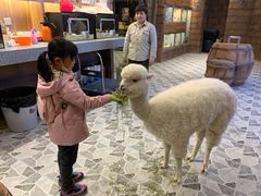 -MR.ZOO小小动物元室内动物园(沈阳沈河盛京中心)