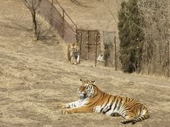 -沈阳森林动物园