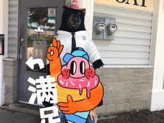 -金斯顿千岛群岛游轮